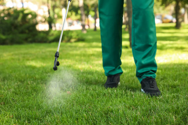 Professional Pest Control in Girard, OH